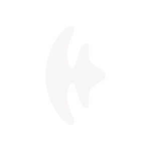 Fabisi Marketing Digital Logomarca Neutra